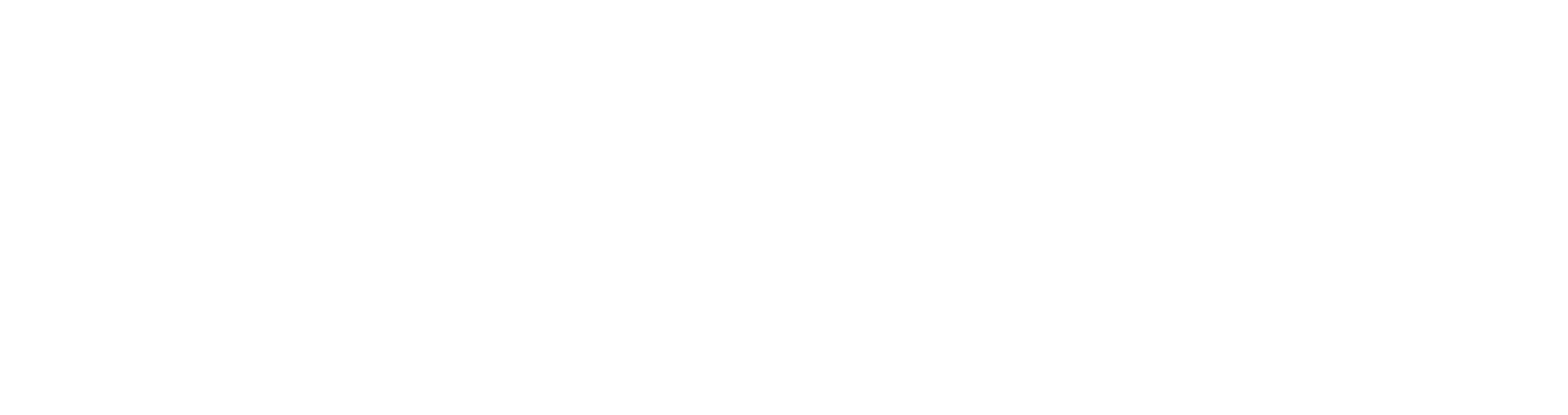 CSTKlogo(final)_white_
