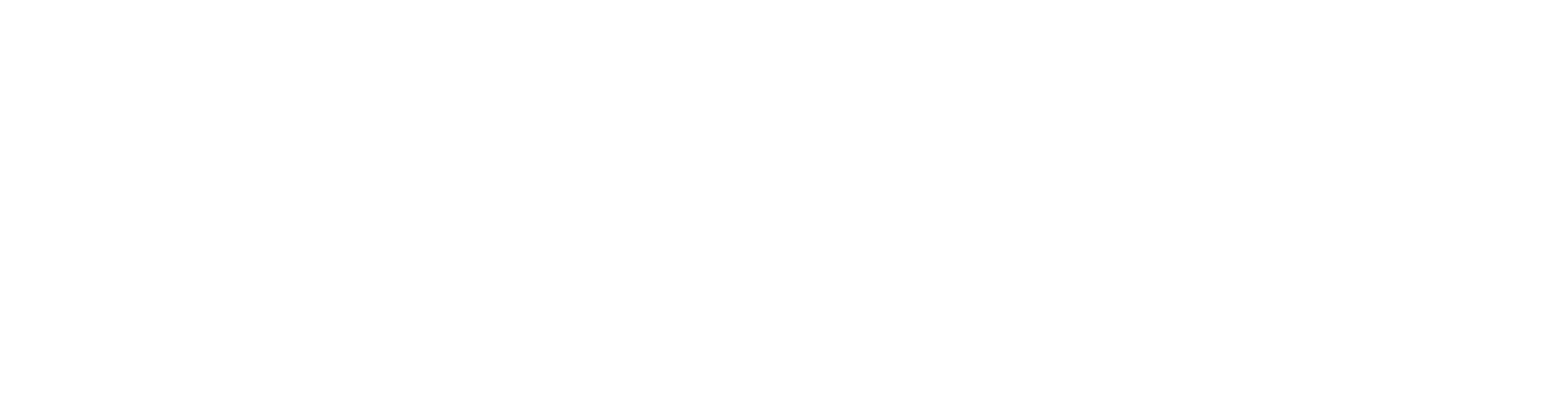 CSTKlogo(final)_white